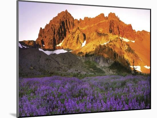 Three Fingered Jack Mountain-Steve Terrill-Mounted Photographic Print