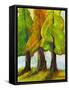 Three Fir Trees-Blenda Tyvoll-Framed Stretched Canvas