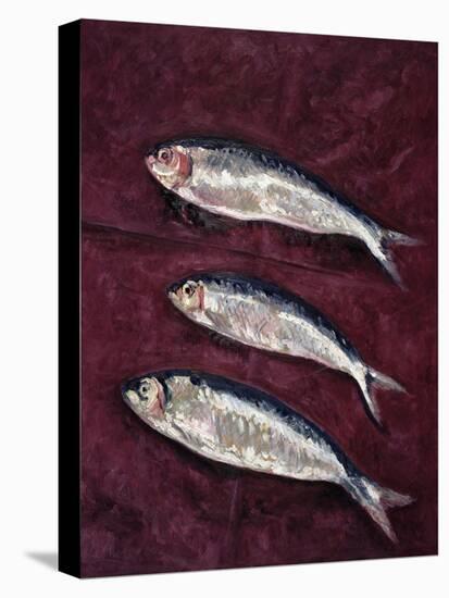 Three Fish, 1997-Peter Davidson-Stretched Canvas