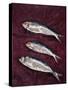 Three Fish, 1997-Peter Davidson-Stretched Canvas