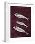 Three Fish, 1997-Peter Davidson-Framed Giclee Print