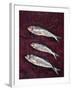 Three Fish, 1997-Peter Davidson-Framed Giclee Print