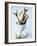 Three Fish (Mackerel) in a Tin-Marc O^ Finley-Framed Photographic Print