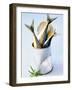 Three Fish (Mackerel) in a Tin-Marc O^ Finley-Framed Photographic Print