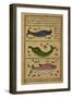 Three Fish-null-Framed Giclee Print