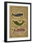 Three Fish-null-Framed Giclee Print