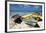 Three Fishing Boats Aruba-George Oze-Framed Photographic Print
