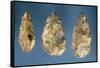 Three Flint Tools-Paleolithic-Framed Stretched Canvas