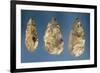 Three Flint Tools-Paleolithic-Framed Giclee Print