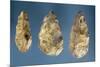 Three Flint Tools-Paleolithic-Mounted Giclee Print