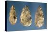 Three Flint Tools-Paleolithic-Stretched Canvas