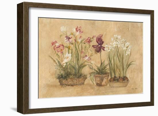 Three Floral Baskets-Cheri Blum-Framed Art Print