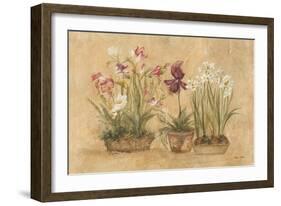 Three Floral Baskets-Cheri Blum-Framed Art Print