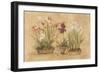 Three Floral Baskets-Cheri Blum-Framed Art Print