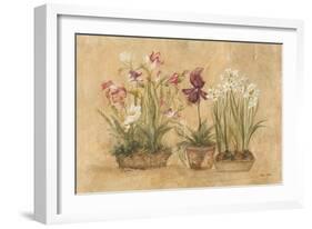 Three Floral Baskets-Cheri Blum-Framed Art Print