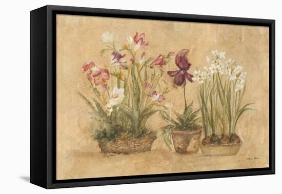 Three Floral Baskets-Cheri Blum-Framed Stretched Canvas