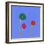 Three flowers-Marie Bertrand-Framed Giclee Print