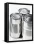 Three Food Tins Without Labels-Colin Erricson-Framed Stretched Canvas