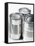 Three Food Tins Without Labels-Colin Erricson-Framed Stretched Canvas