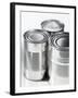 Three Food Tins Without Labels-Colin Erricson-Framed Photographic Print