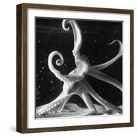 Three Foot Caribbean Octopus After Ripping Apart and Consuming a Blue Crab-Fritz Goro-Framed Photographic Print
