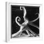 Three Foot Caribbean Octopus After Ripping Apart and Consuming a Blue Crab-Fritz Goro-Framed Photographic Print