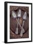 Three for Desert-Den Reader-Framed Photographic Print