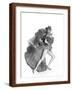 Brown Frame