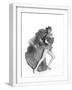 White Frame