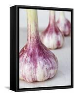 Three Fresh Garlic Bulbs-Linda Burgess-Framed Stretched Canvas