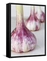 Three Fresh Garlic Bulbs-Linda Burgess-Framed Stretched Canvas