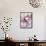 Three Fresh Garlic Bulbs-Linda Burgess-Framed Stretched Canvas displayed on a wall
