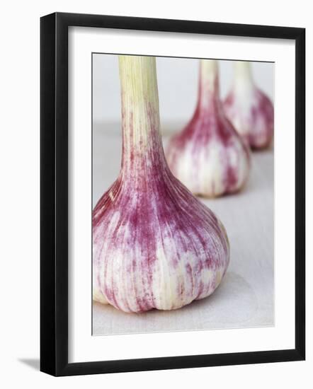 Three Fresh Garlic Bulbs-Linda Burgess-Framed Photographic Print