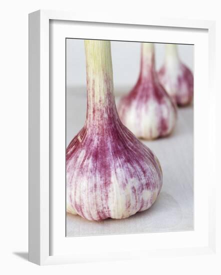 Three Fresh Garlic Bulbs-Linda Burgess-Framed Photographic Print