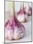 Three Fresh Garlic Bulbs-Linda Burgess-Mounted Photographic Print