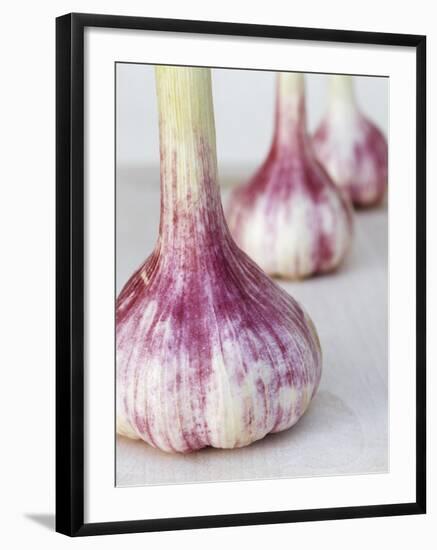 Three Fresh Garlic Bulbs-Linda Burgess-Framed Photographic Print