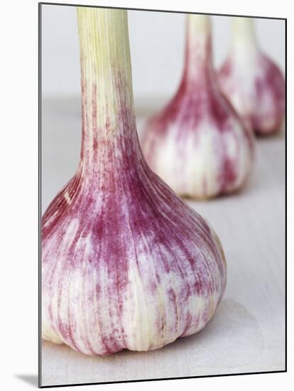 Three Fresh Garlic Bulbs-Linda Burgess-Mounted Photographic Print
