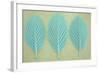 Three Fresh Spring Leaves of Whitebeam or Sorbus Aria Tree Lined Up-Den Reader-Framed Photographic Print