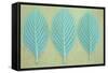 Three Fresh Spring Leaves of Whitebeam or Sorbus Aria Tree Lined Up-Den Reader-Framed Stretched Canvas