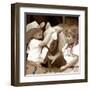 Three Friends-Betsy Cameron-Framed Art Print