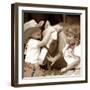 Three Friends-Betsy Cameron-Framed Art Print