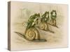 Three Frogs Mounted on Snails Race Each Other-null-Stretched Canvas