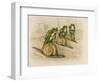 Three Frogs Mounted on Snails Race Each Other-null-Framed Art Print