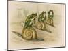 Three Frogs Mounted on Snails Race Each Other-null-Mounted Art Print