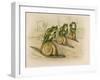 Three Frogs Mounted on Snails Race Each Other-null-Framed Art Print