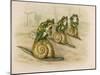 Three Frogs Mounted on Snails Race Each Other-null-Mounted Art Print