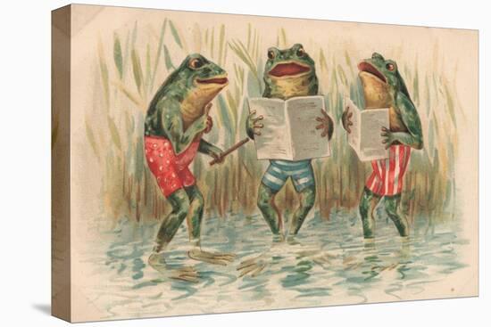 Three Frogs Singing-English School-Stretched Canvas