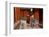 Three Geishas Walking on a Street of Gion (Kyoto, Japan)-Sergii Rudiuk-Framed Photographic Print