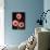 Three Gerbera Daisies on Dark Background-Clive Nichols-Photographic Print displayed on a wall