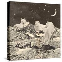 Three Giant White Wolves on Mountains-Florent Bodart-Stretched Canvas